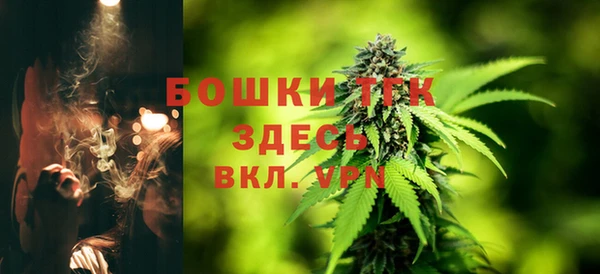 ECSTASY Богородск