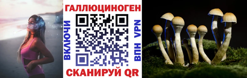 Галлюциногенные грибы Magic Shrooms  Купить где  Покров 